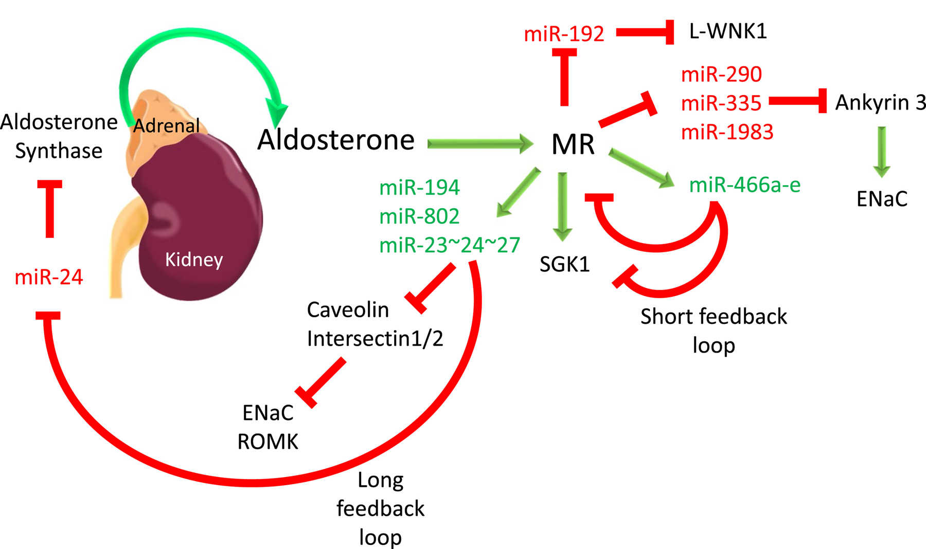 Figure 1: