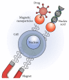 Figure 18
