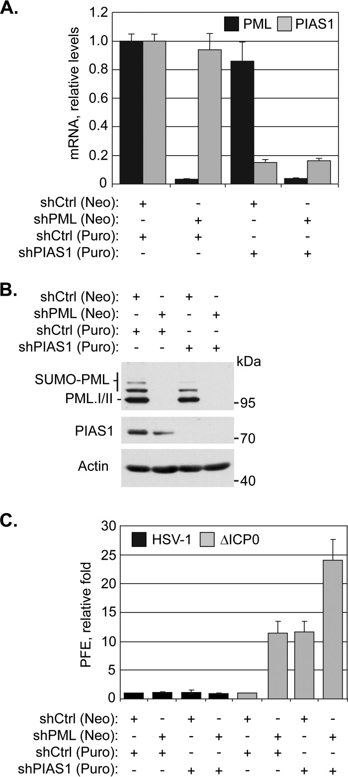 FIG 7