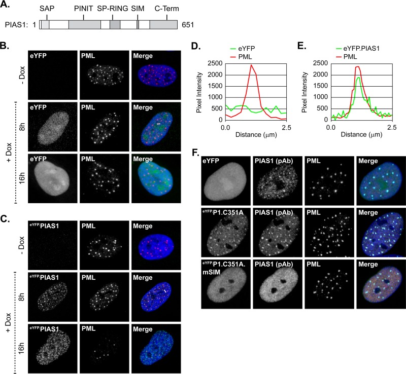 FIG 2