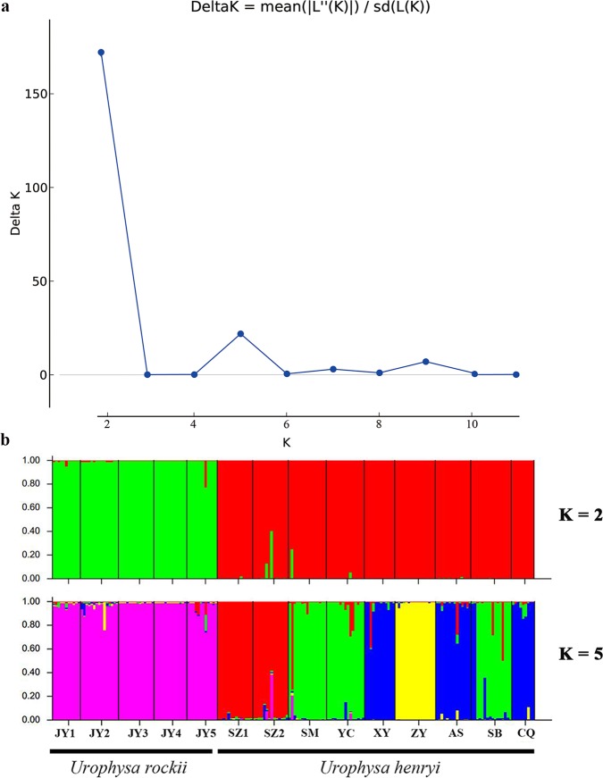 Fig 5