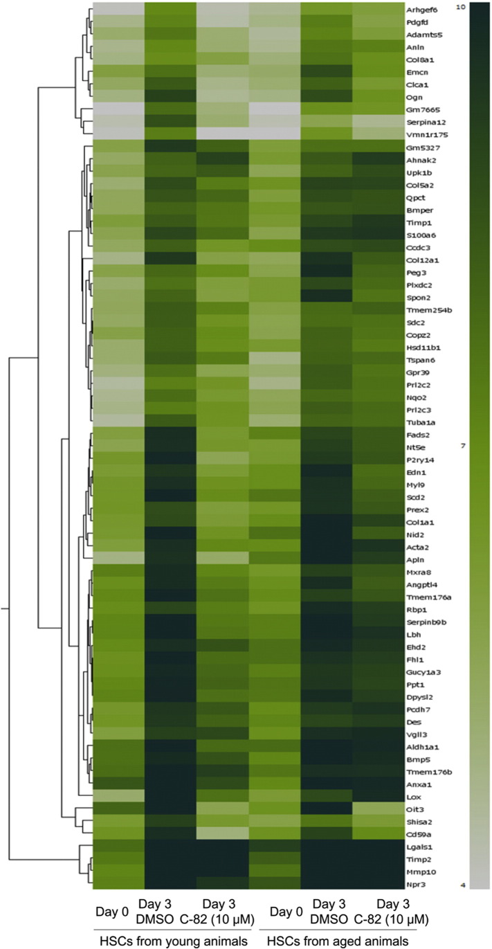 Supplementary Fig. 3
