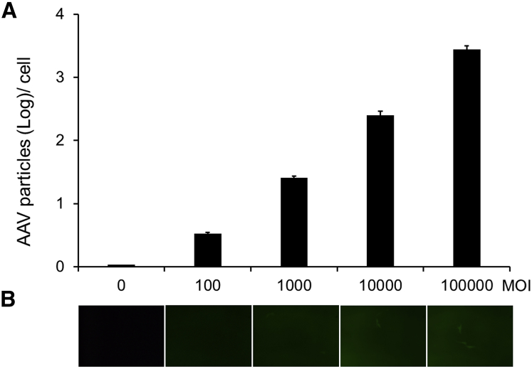 Figure 2