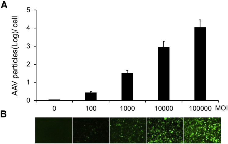 Figure 1