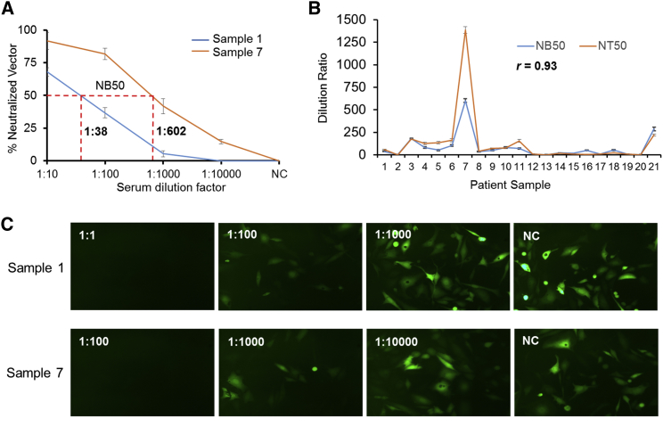 Figure 4