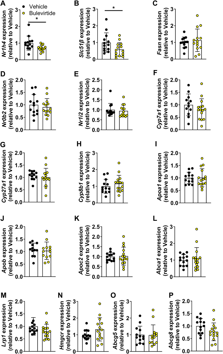 Fig. 3