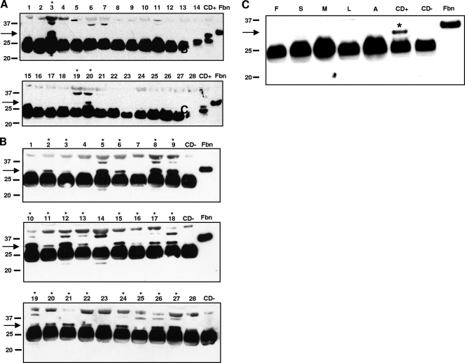 FIG. 4.