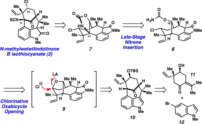 Scheme 2