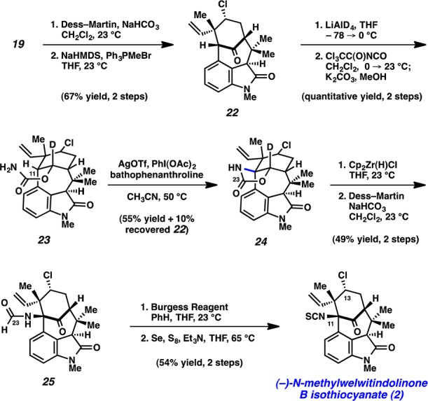 Scheme 6