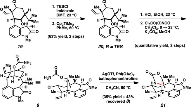 Scheme 5