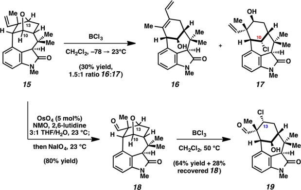 Scheme 4