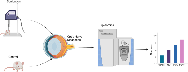 Figure 1