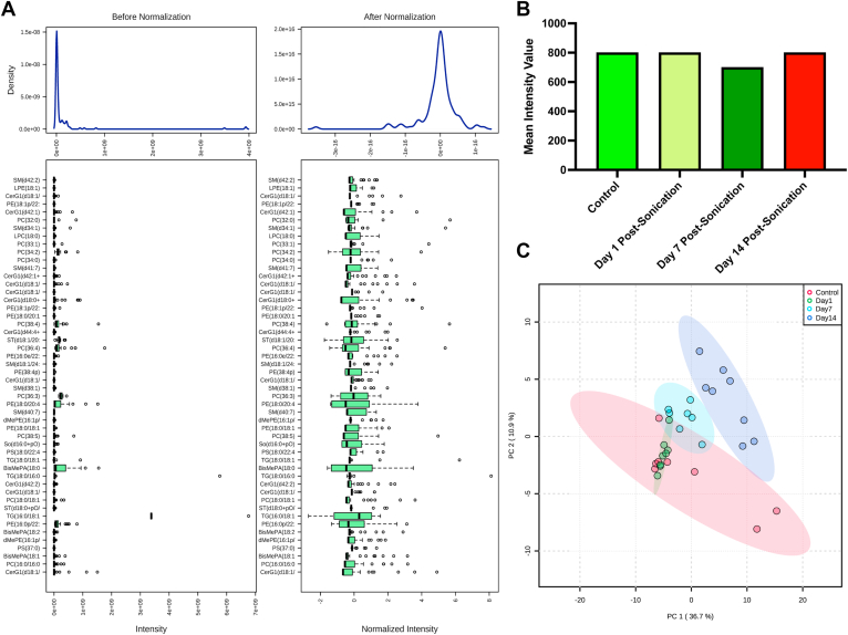 Figure 3