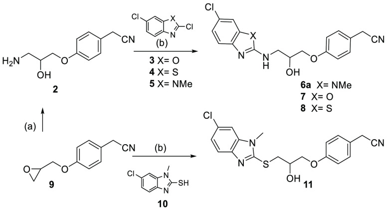 Scheme 1