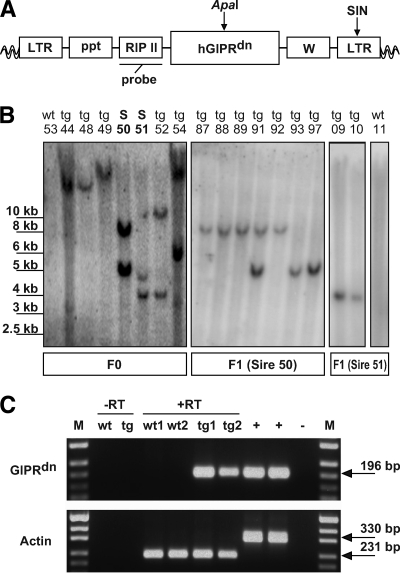 FIG. 1.