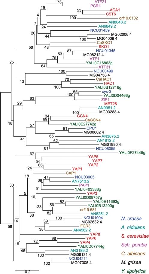 Fig. 1.