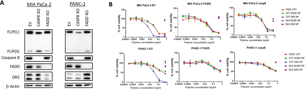 Figure 6: