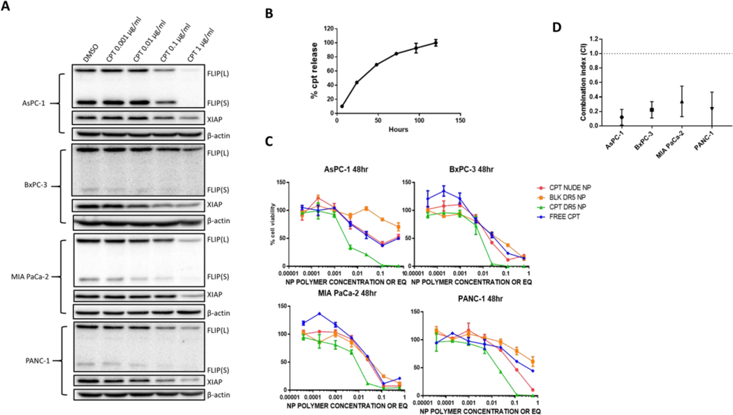 Figure 4: