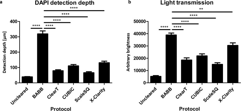 Figure 1—figure supplement 1.