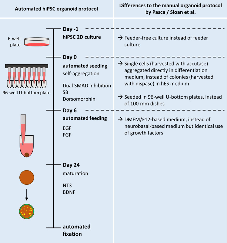 Figure 7—figure supplement 1.