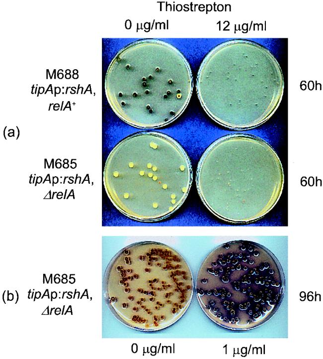 FIG. 9