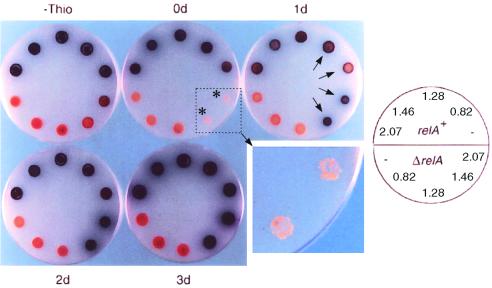 FIG. 3