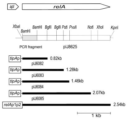 FIG. 1