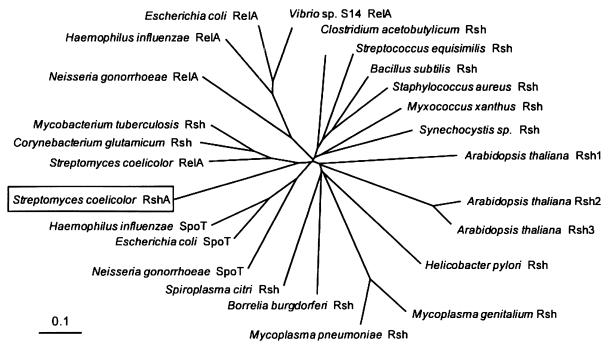 FIG. 7