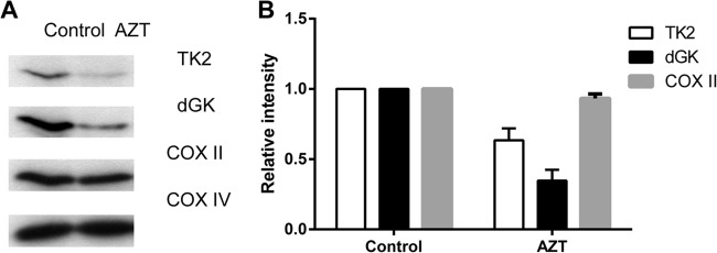 FIG 1