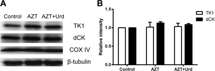 FIG 6