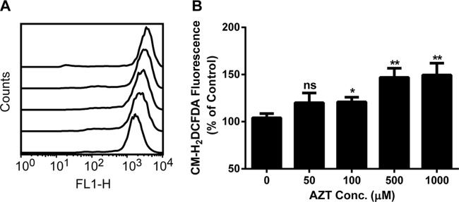 FIG 2