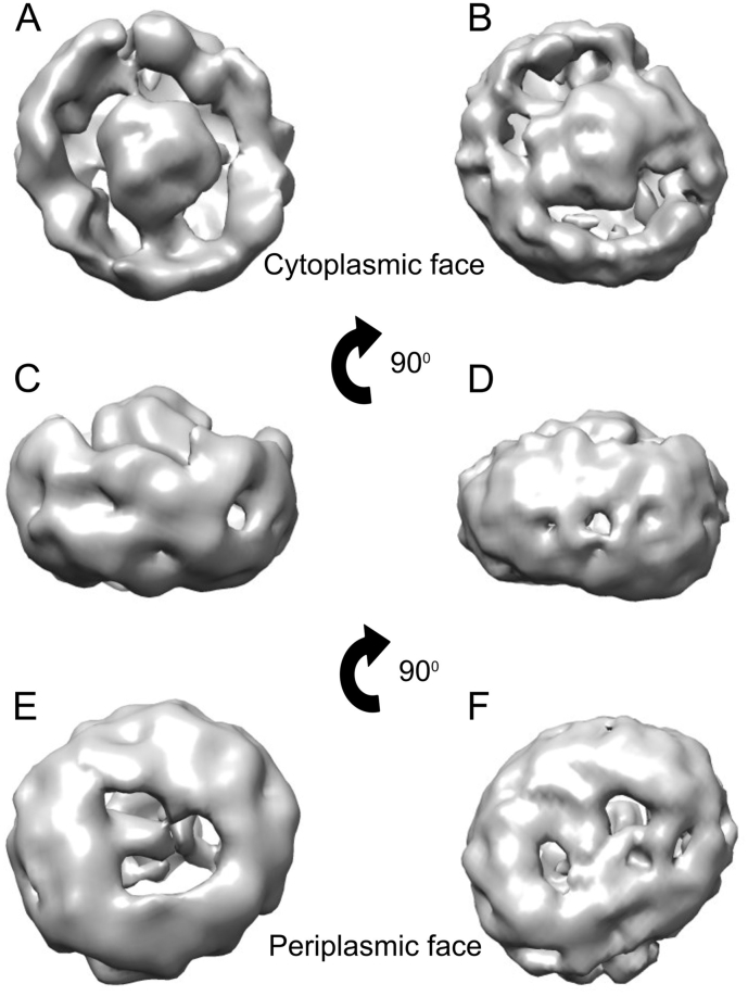 Fig. 7