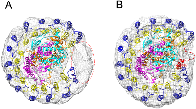 Fig. 8