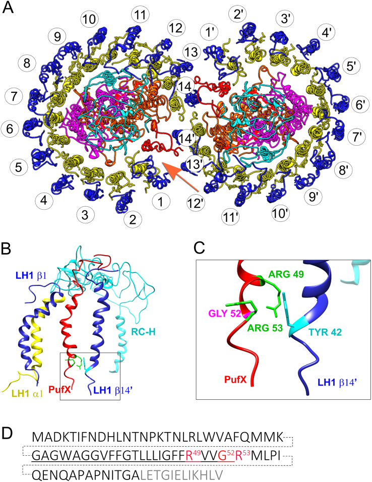 Fig. 1