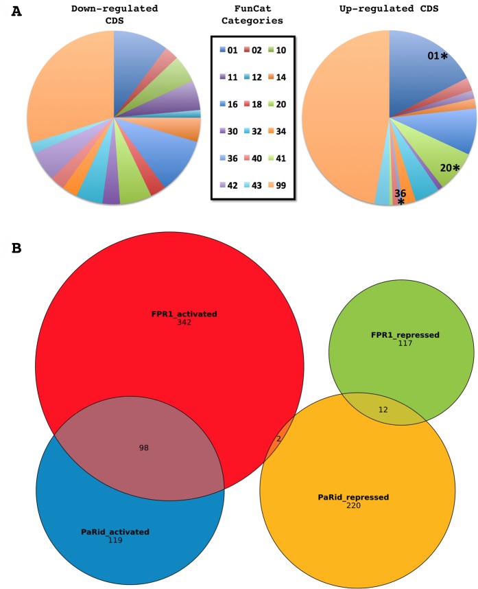 Fig 7