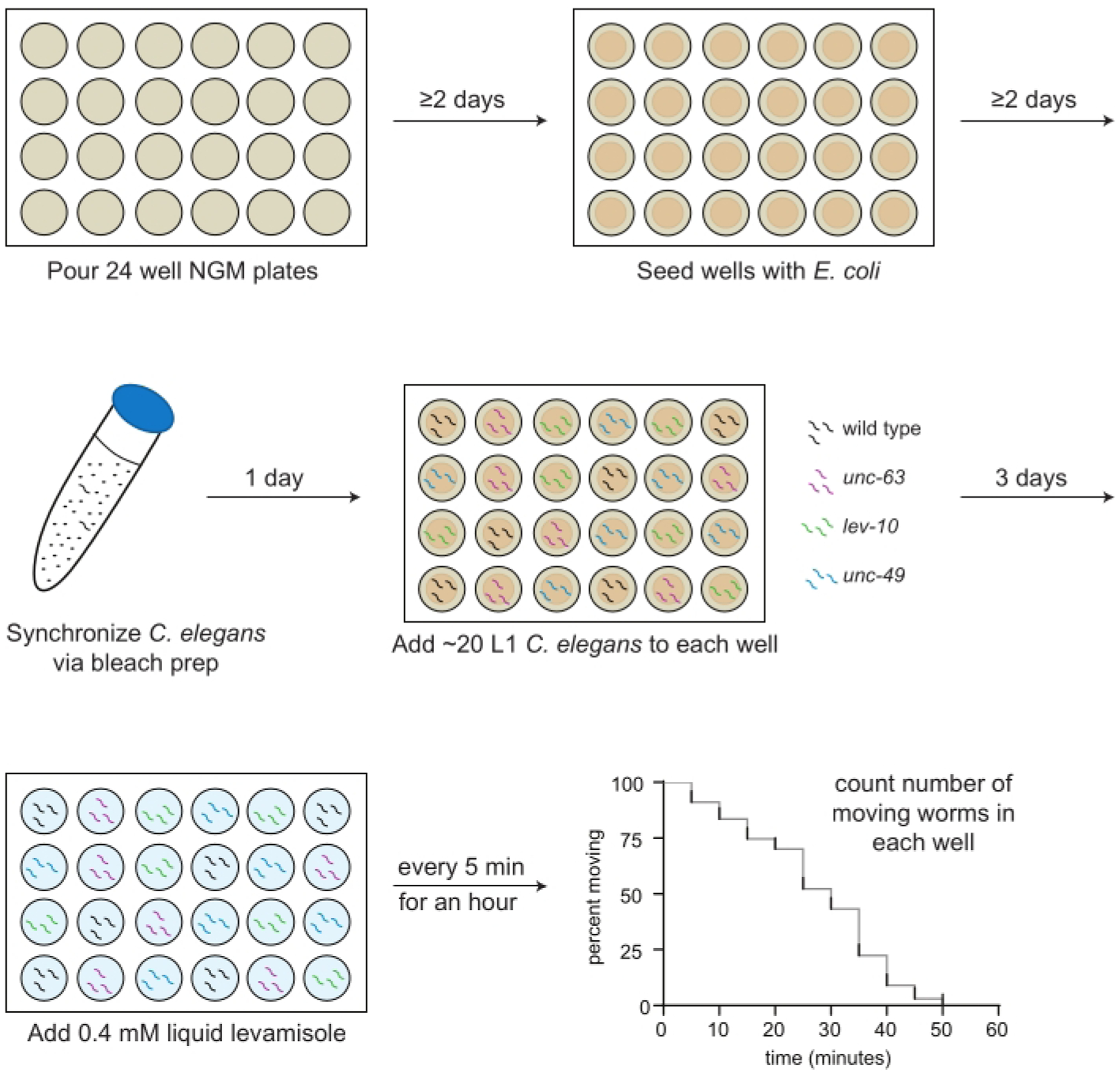 Figure 1: