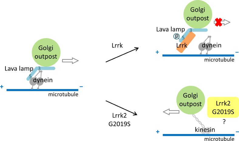 Figure 9.