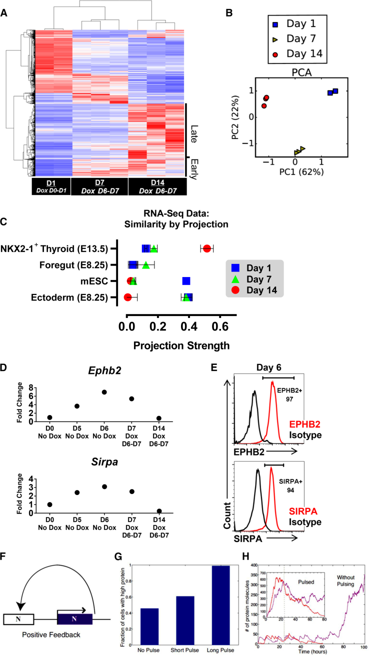 Figure 4