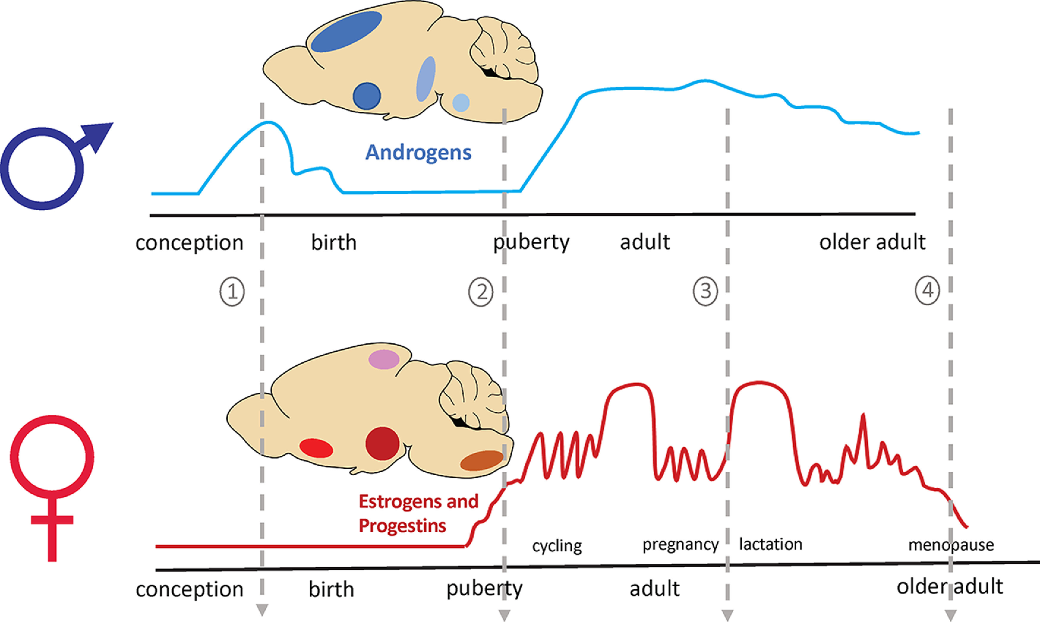 Figure 3.