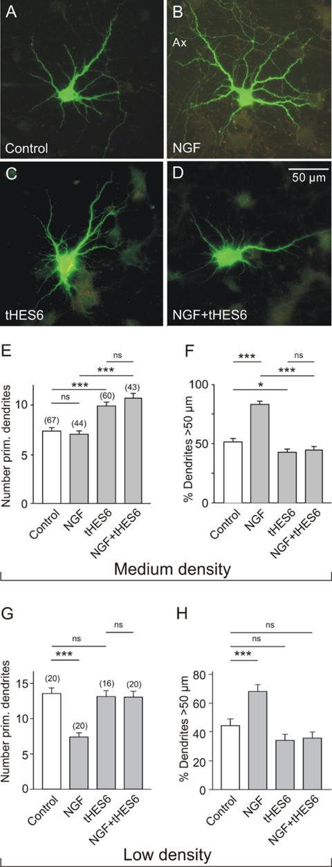 Figure 6.