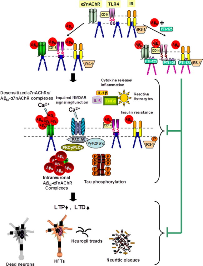 Figure 13.