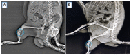 Figure 14