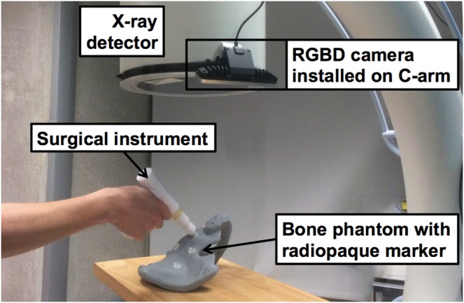 Fig. 6