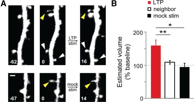 Figure 2.