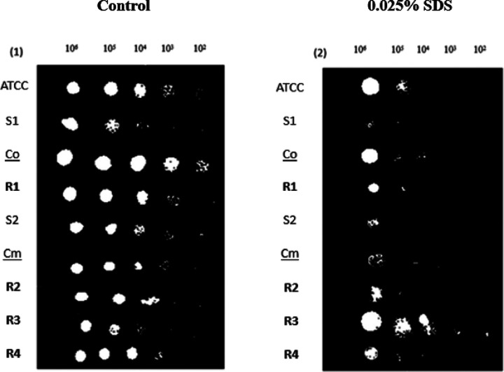 Figure 6