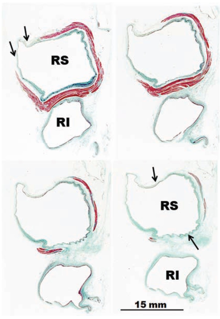 Fig. (4)