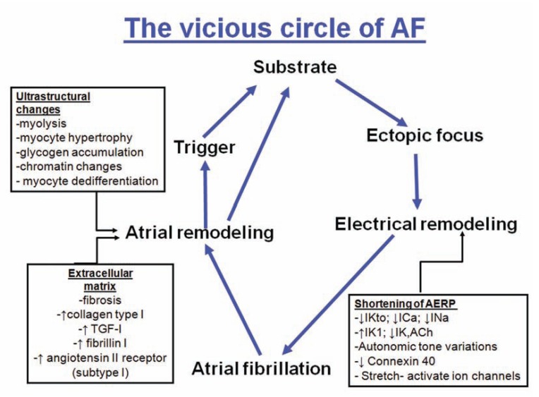 Fig. (1)