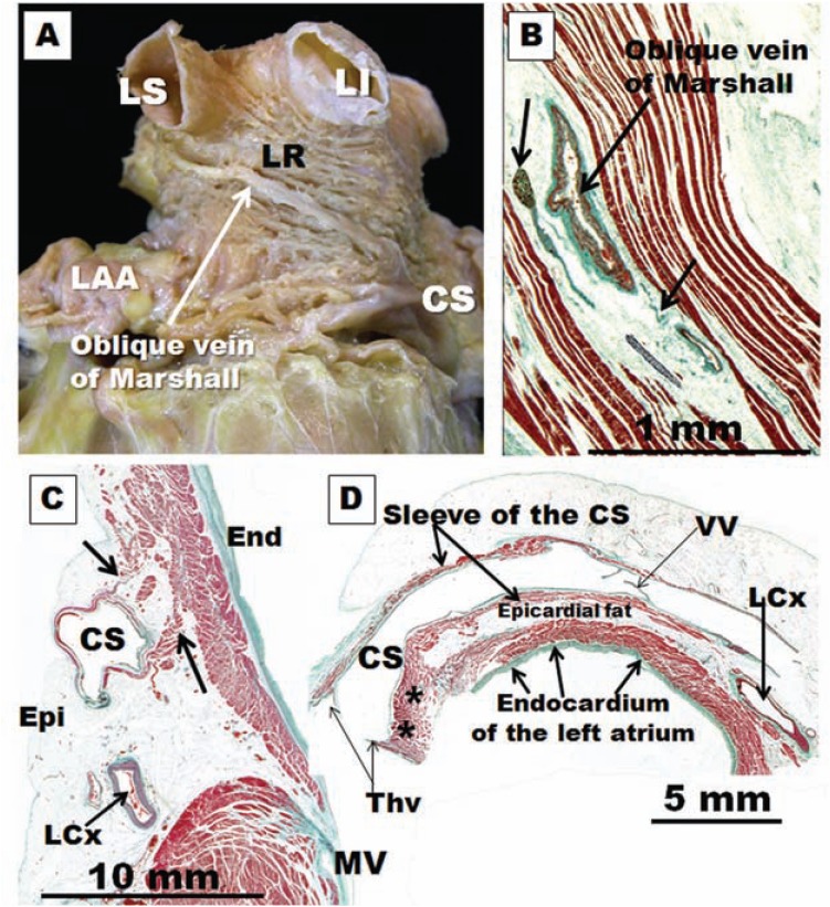 Fig. (8)