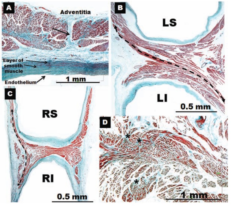 Fig. (5)