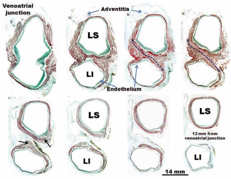 Fig. (3)